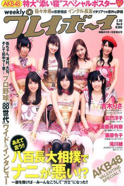 没落的贵族琉璃川动漫