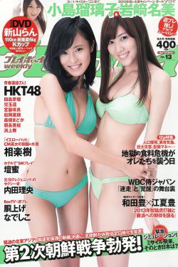 金花瓶楷梅花4免费